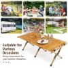 Portable Picnic Table with Carry Bag for Camping and BBQ